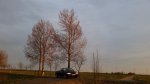 Aperto Roadster von Michael "nierenspender" Köhler - Bild 23 - zum Vergrößern auf das Bild klicken