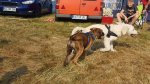 Shows & Treffen - 2018 - 16. Beach Party des Ford Club Ostseehaie e.V. - Bild 114 Shows & Treffen - 2018 - 16. Beach Party des Ford Club Ostseehaie e.V. - Bild 114