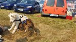 Shows & Treffen - 2018 - 16. Beach Party des Ford Club Ostseehaie e.V. - Bild 115 Shows & Treffen - 2018 - 16. Beach Party des Ford Club Ostseehaie e.V. - Bild 115