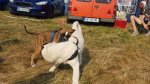 Shows & Treffen - 2018 - 16. Beach Party des Ford Club Ostseehaie e.V. - Bild 116 Shows & Treffen - 2018 - 16. Beach Party des Ford Club Ostseehaie e.V. - Bild 116