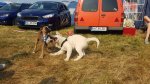 Shows & Treffen - 2018 - 16. Beach Party des Ford Club Ostseehaie e.V. - Bild 118 Shows & Treffen - 2018 - 16. Beach Party des Ford Club Ostseehaie e.V. - Bild 118