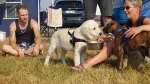 Shows & Treffen - 2018 - 16. Beach Party des Ford Club Ostseehaie e.V. - Bild 120 Shows & Treffen - 2018 - 16. Beach Party des Ford Club Ostseehaie e.V. - Bild 120