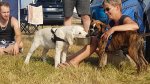 Shows & Treffen - 2018 - 16. Beach Party des Ford Club Ostseehaie e.V. - Bild 121 Shows & Treffen - 2018 - 16. Beach Party des Ford Club Ostseehaie e.V. - Bild 121