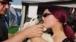 Shows & Treffen - 2018 - 16. Beach Party des Ford Club Ostseehaie e.V. - Bild 87 Shows & Treffen - 2018 - 16. Beach Party des Ford Club Ostseehaie e.V. - Bild 87