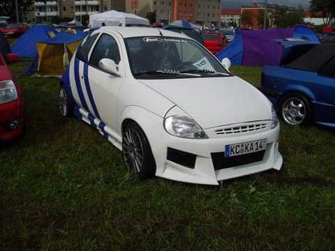 Shows & Treffen - 2006 - 4tes Deutschlandtreffen der Ford Freunde Erfurt - Bild 26