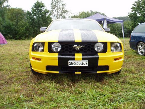 Shows & Treffen - 2006 - 4tes Deutschlandtreffen der Ford Freunde Erfurt - Bild 400