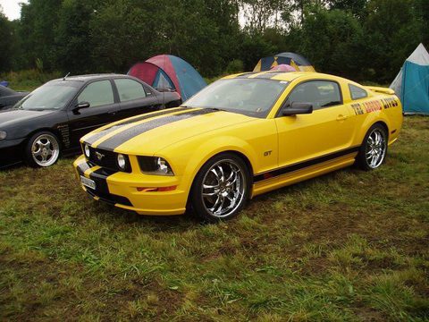 Shows & Treffen - 2006 - 4tes Deutschlandtreffen der Ford Freunde Erfurt - Bild 401