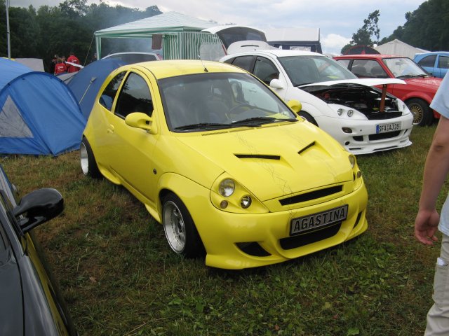 Shows & Treffen - 2010 - Ford am See Volume 5 des Ford Fiesta Club Deutschland - Bild 91