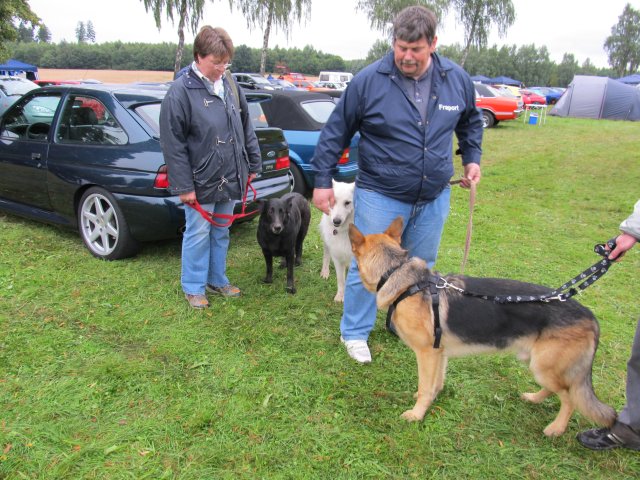 Shows & Treffen - 2011 - Ford am See Volume 6 des Ford Fiesta Club Deutschland - Bild 129