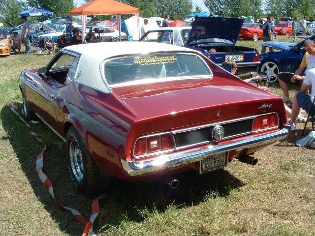 Shows & Treffen - 2009 - Himmelfahrtstreffen am Mondsee - Bild 322