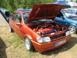 Shows & Treffen - 2009 - Himmelfahrtstreffen am Mondsee - Bild 277