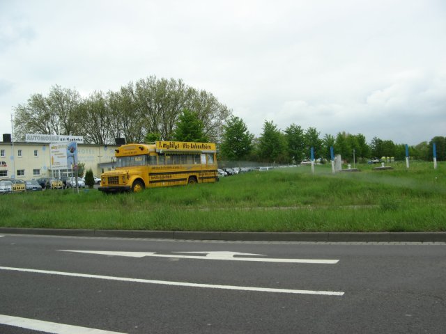 Shows & Treffen - 2010 - Himmelfahrtstreffen auf dem Flughafen Magdeburg - Bild 33