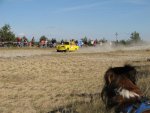 Shows & Treffen - 2012 - 13te ADMV Lausitz Rallye - Bild 132 Shows & Treffen - 2012 - 13te ADMV Lausitz Rallye - Bild 132