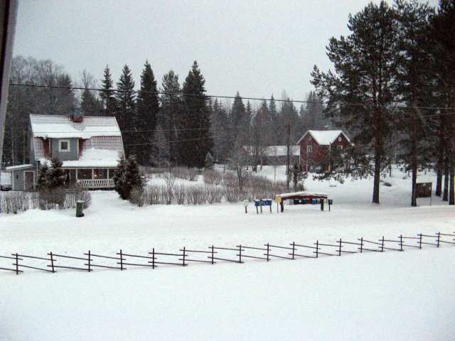 Shows & Treffen - 2008 - Uddeholm Swedish Rally - Bild 8